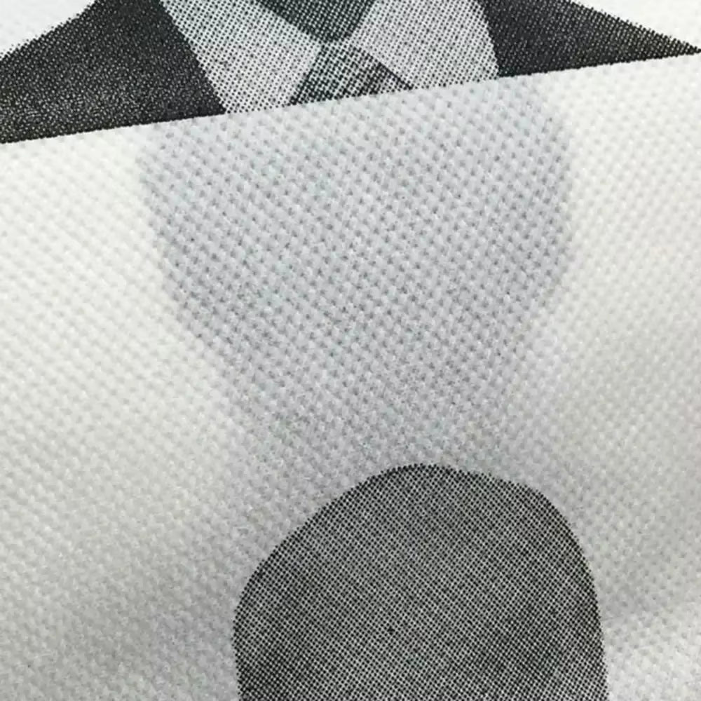 Joe Biden Toilet Paper